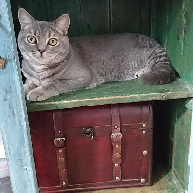 tamaさんの実例写真