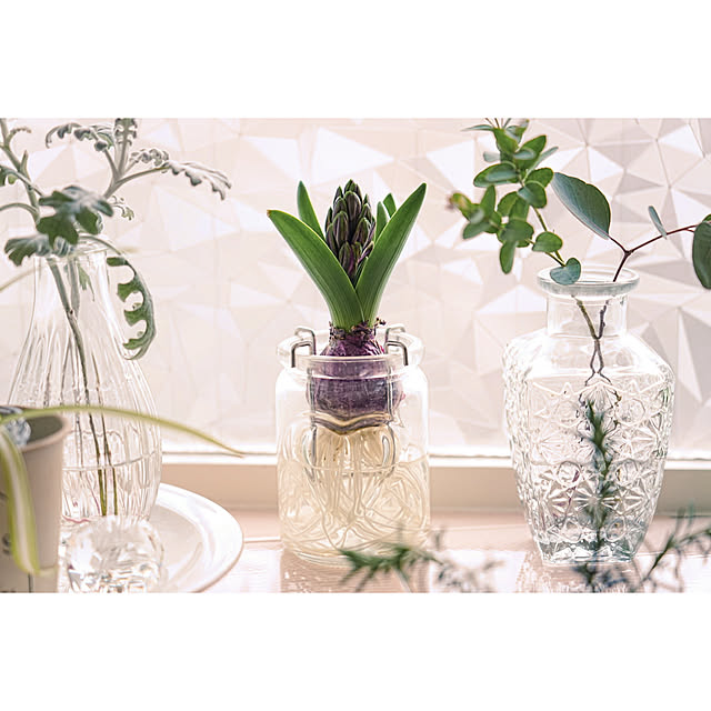 haruisabelさんの部屋