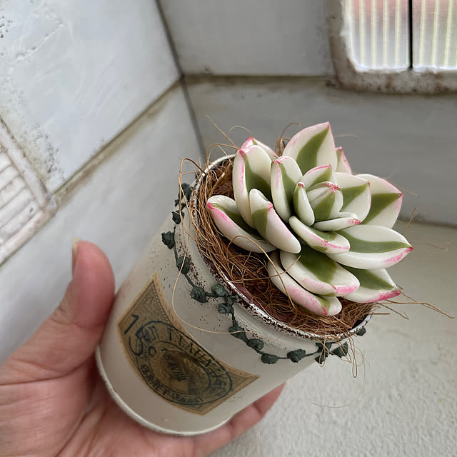 yoko_petitbonheurさんの部屋