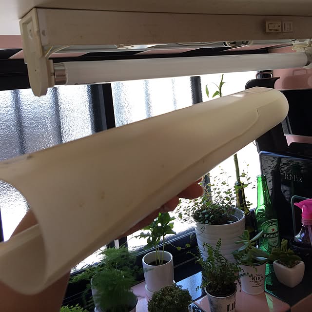 naminori372さんの実例写真