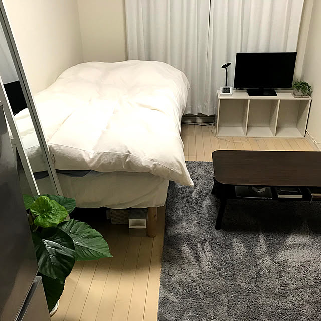 観葉植物/一人暮らし/北欧/ナチュラル/ニトリ...などのインテリア実例 - 2021-05-28 00:35:41