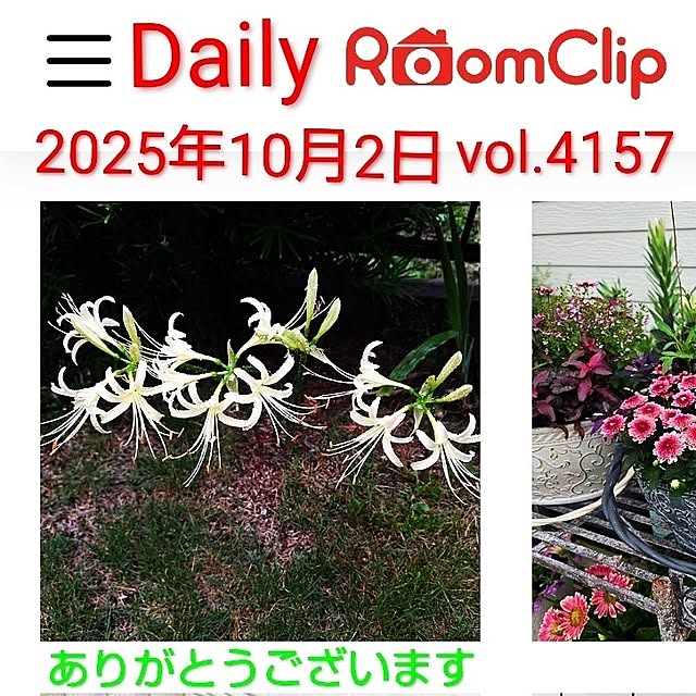 katさんの部屋