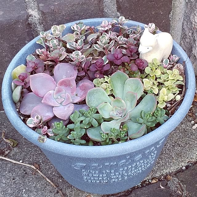 mi-tsuさんの部屋