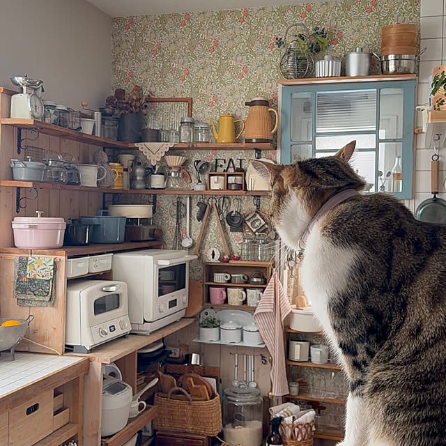 kokkomachaさんの実例写真