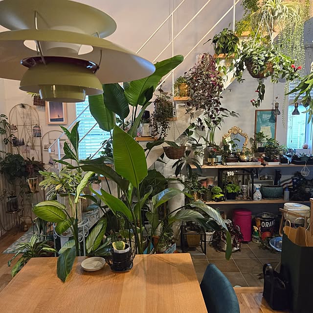 nonbiri_house_さんの部屋