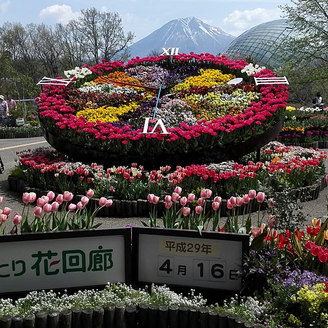 実例写真