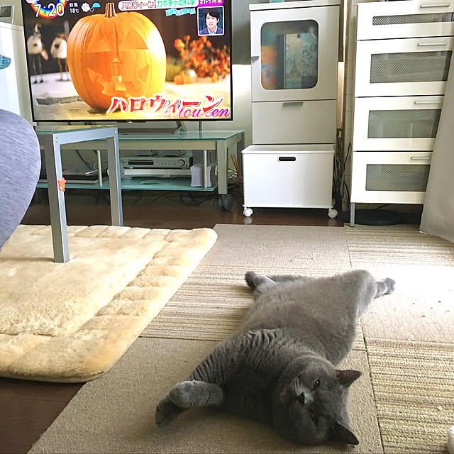 kittyさんの実例写真