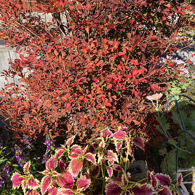 ikubooさんの部屋