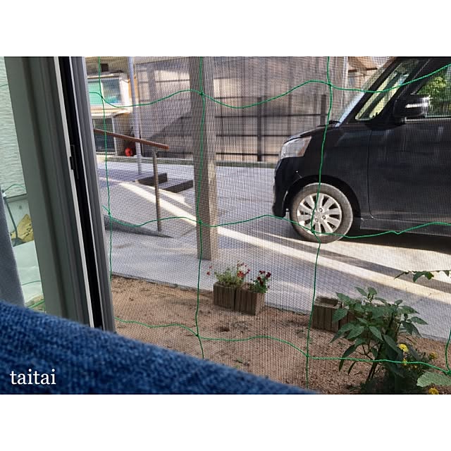 taitaiさんの実例写真