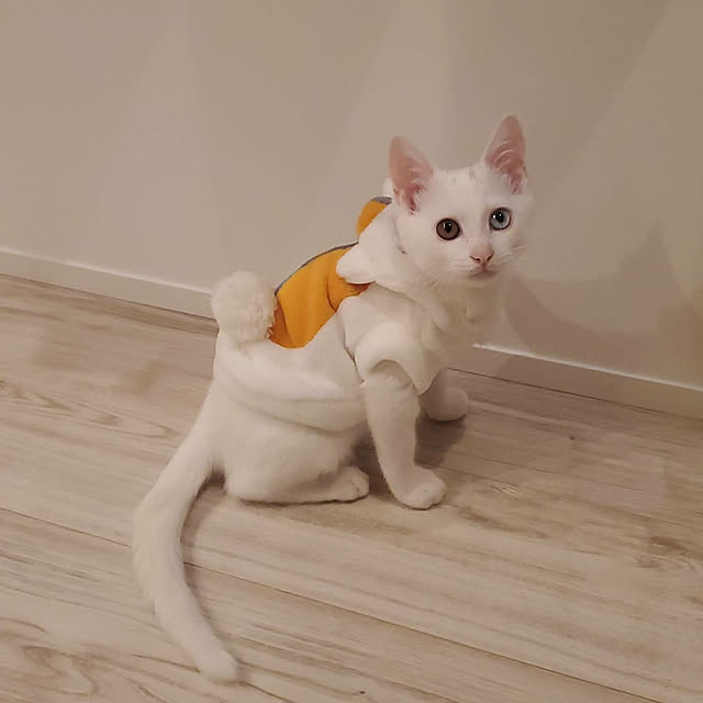 lilyさんの実例写真