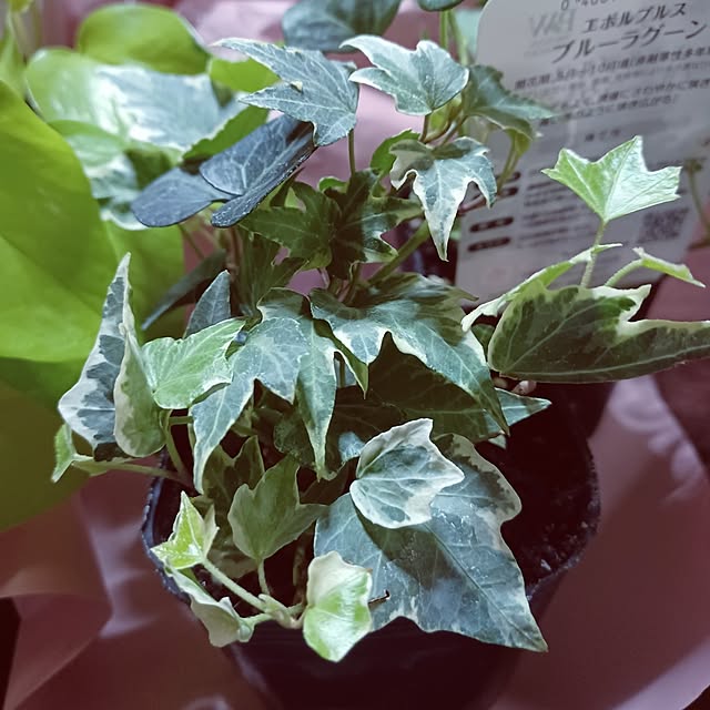 hiro-yさんの部屋
