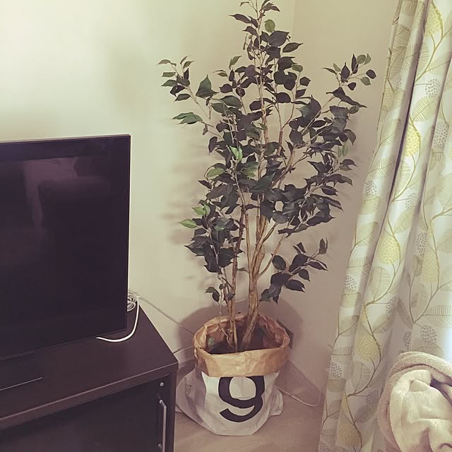 ponc5さんの実例写真