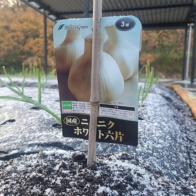 Rubiconさんの部屋