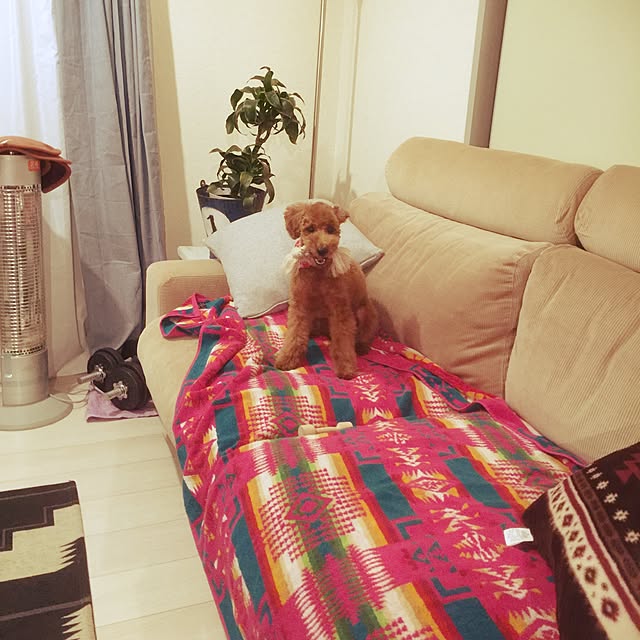 marin_kashimaさんの実例写真
