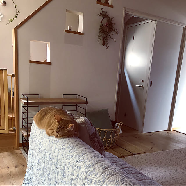 takakoさんの実例写真