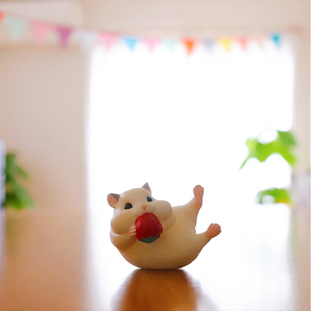miechuraさんの実例写真