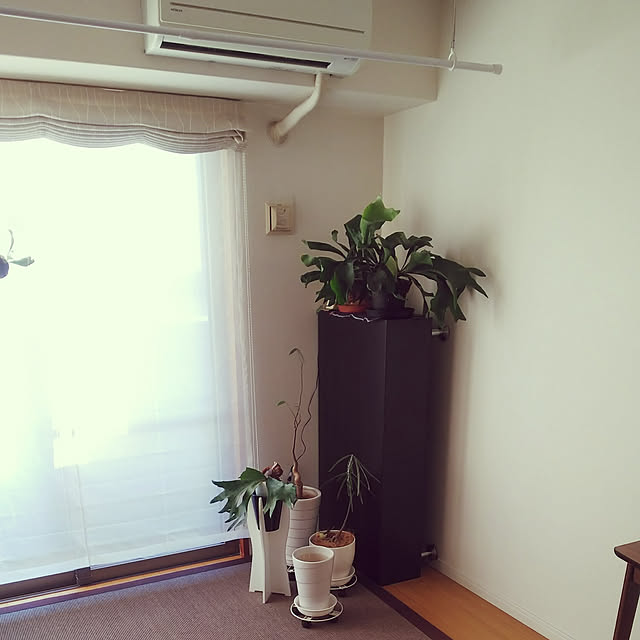 n0516さんの実例写真