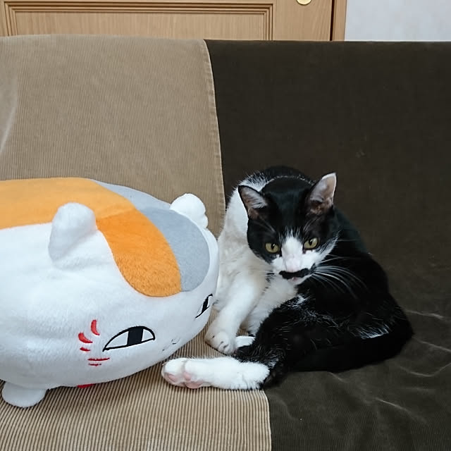 oliveさんの実例写真