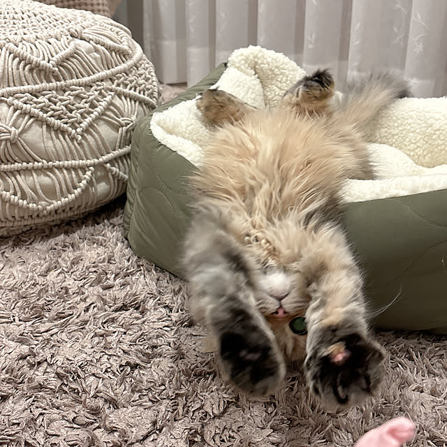 miyu39さんの部屋