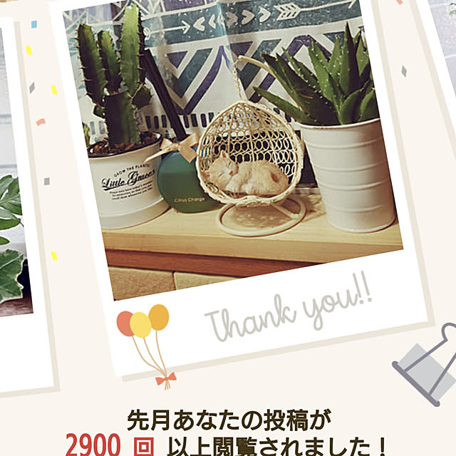 kazukoさんの実例写真