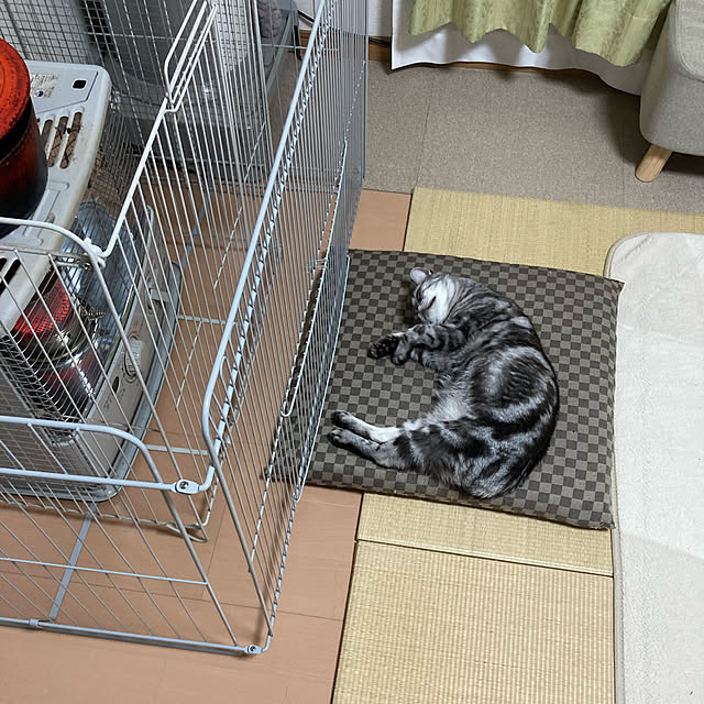 zabonzabonさんの実例写真