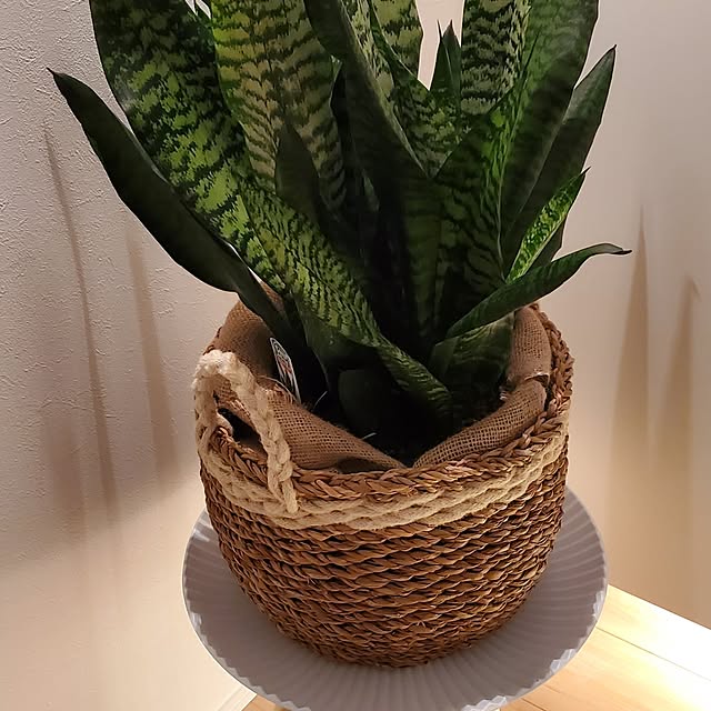 kiyomiさんの部屋