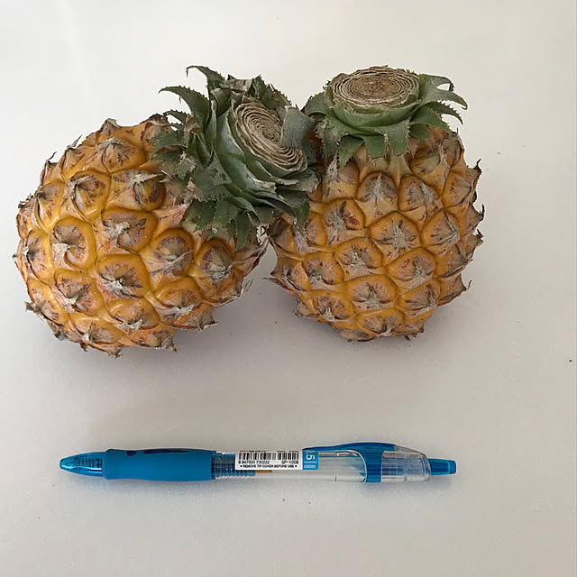 roserose555さんの実例写真