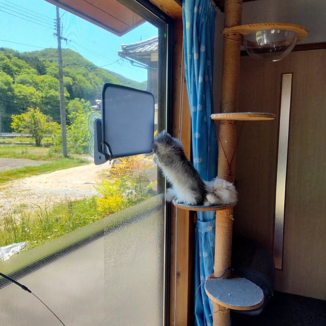 makaronさんの部屋