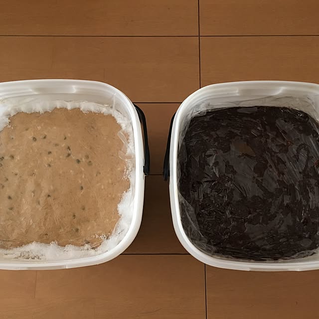 yumieさんの実例写真