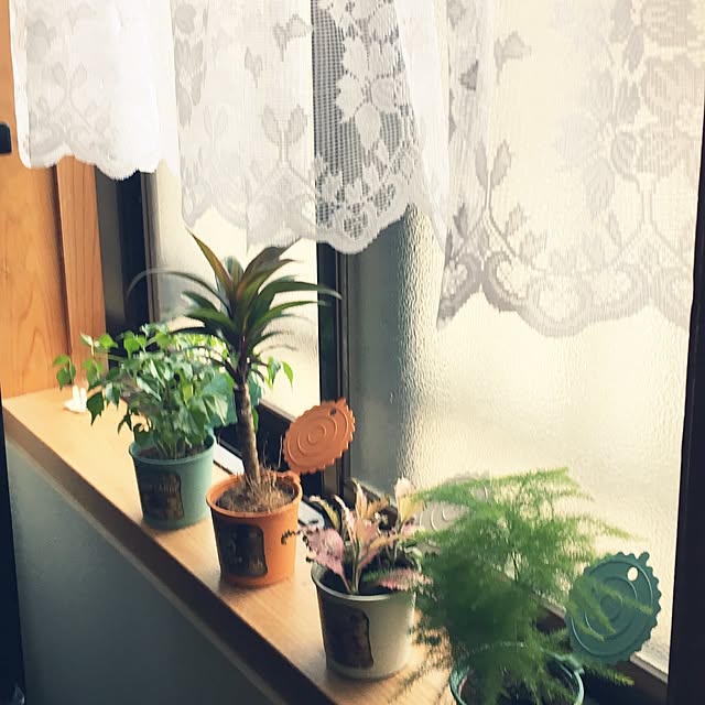 collonさんの実例写真