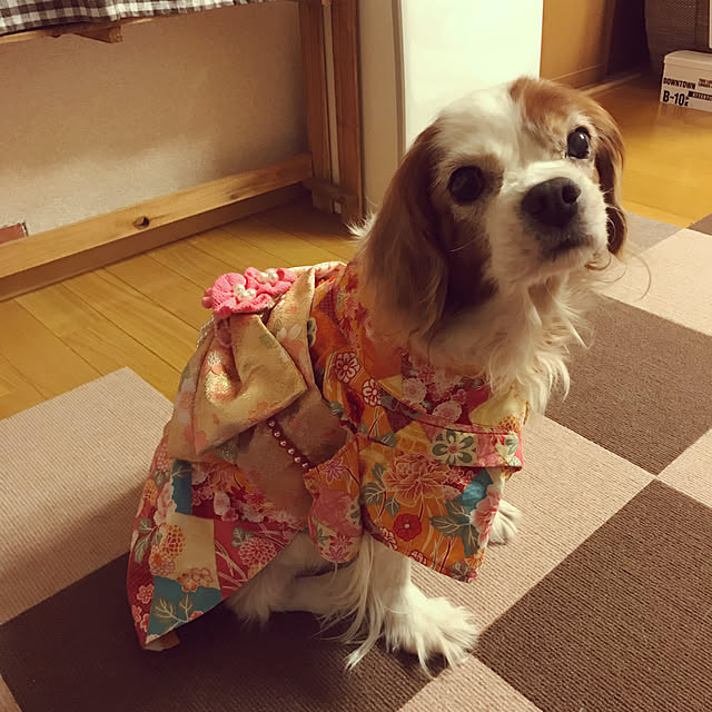 canmilmamaさんの実例写真