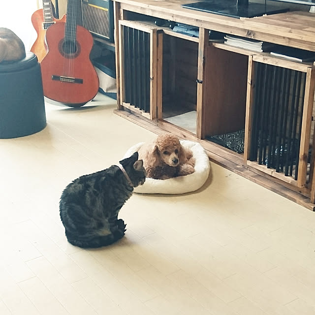 haruさんの実例写真