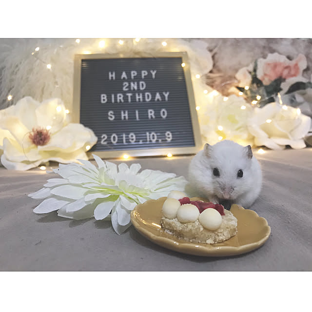myuuさんの実例写真