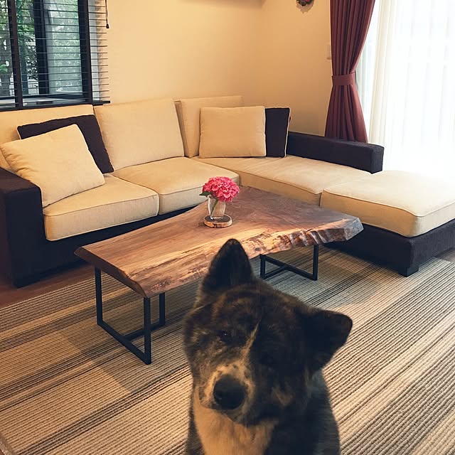 akiさんの実例写真