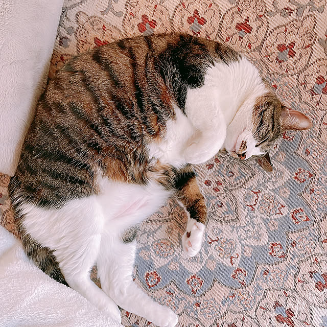 milkcocoaさんの実例写真