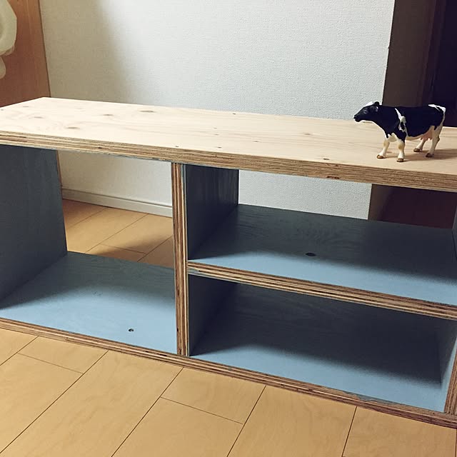 DTR51さんの実例写真
