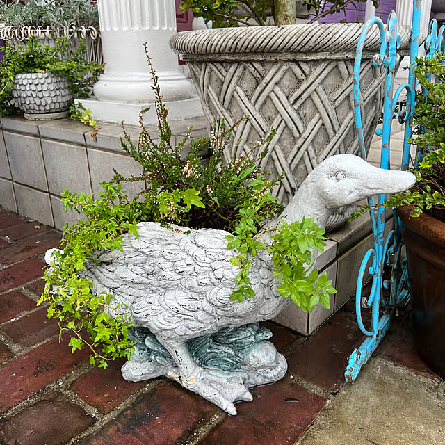 AYUKOさんの実例写真