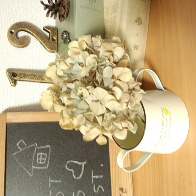 mirai.ars0419さんの実例写真