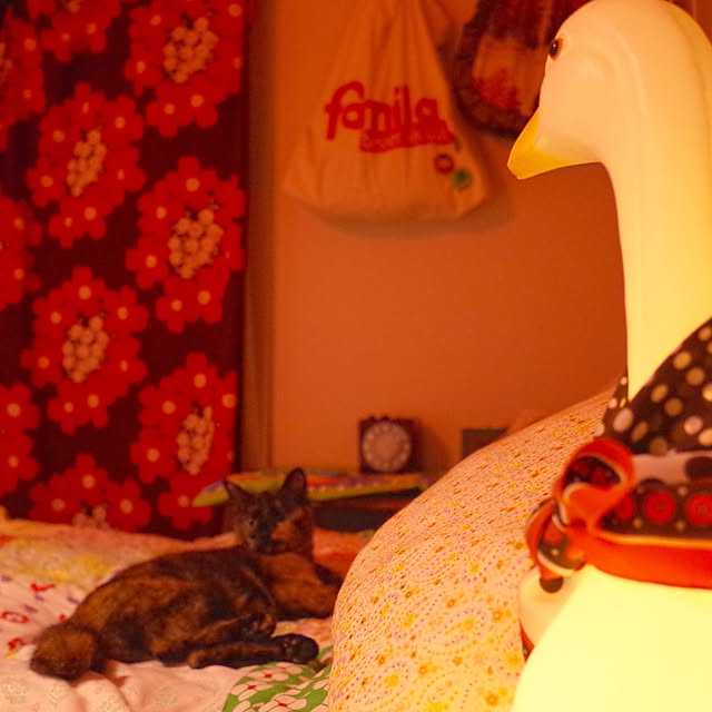 hilaさんの実例写真