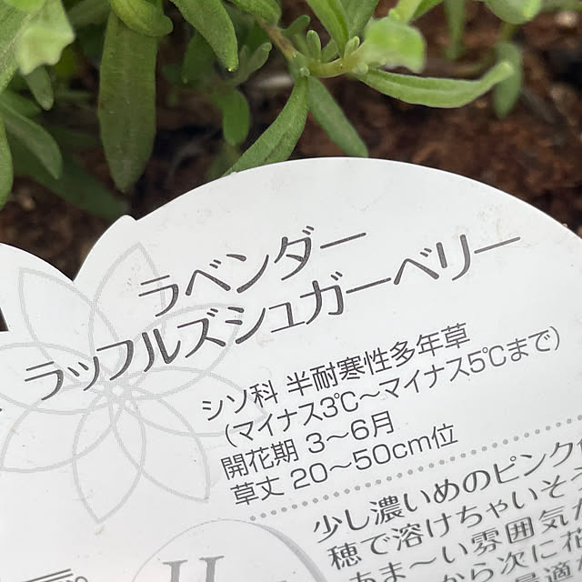ronronさんの部屋