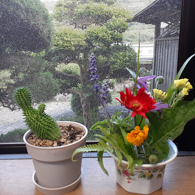kuririnmamaさんの実例写真