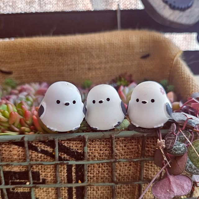 mocomocoさんの部屋
