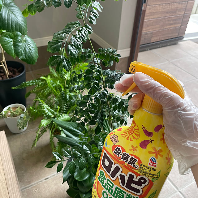 kurinokiさんの部屋