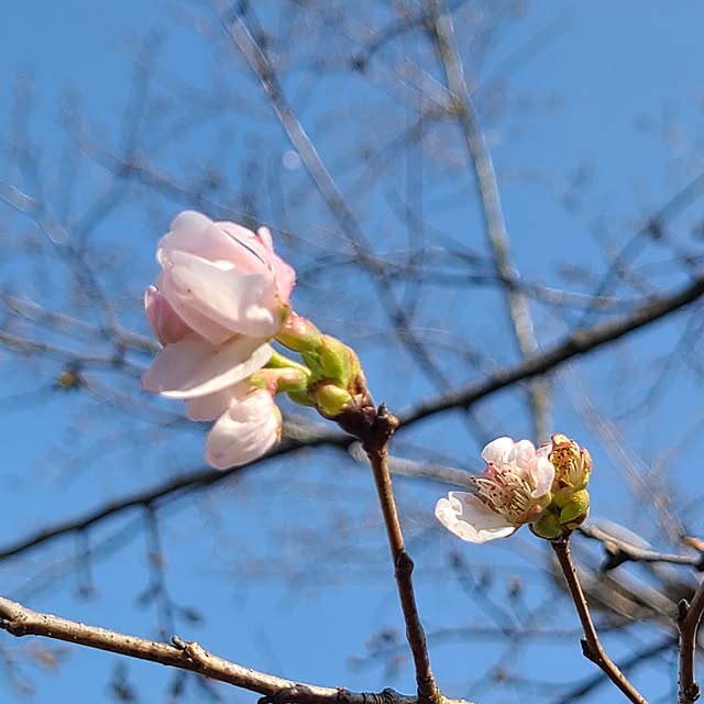 Rubiconさんの部屋
