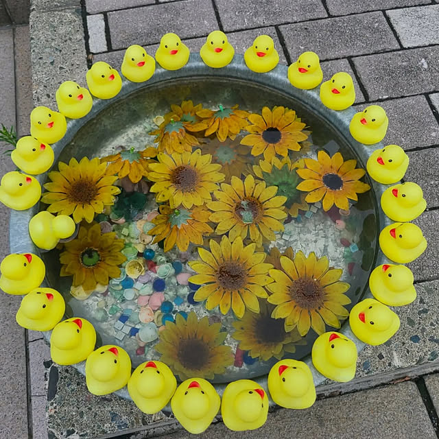 monnさんの実例写真