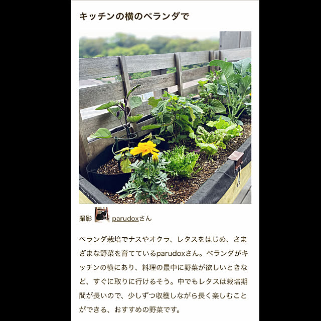 parudoxさんの実例写真
