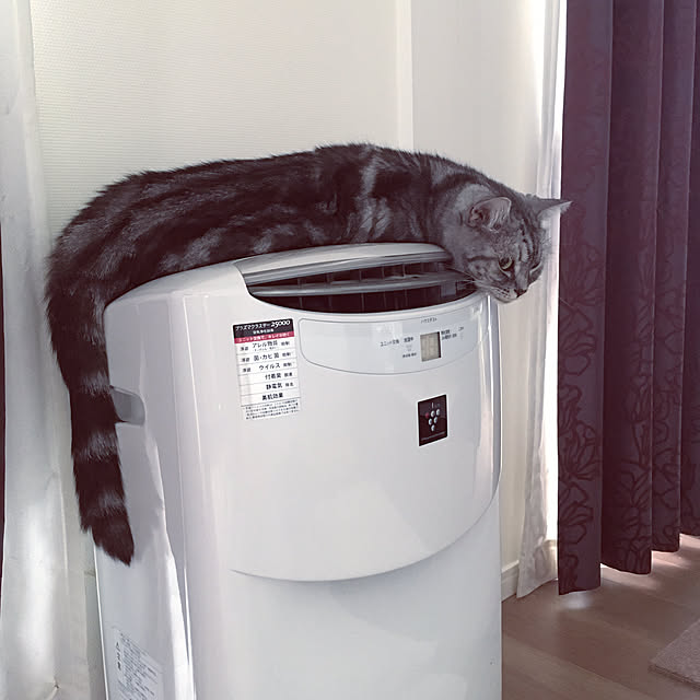 mikomaruさんの実例写真