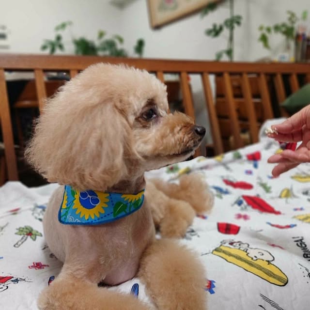 hopkeiさんの実例写真