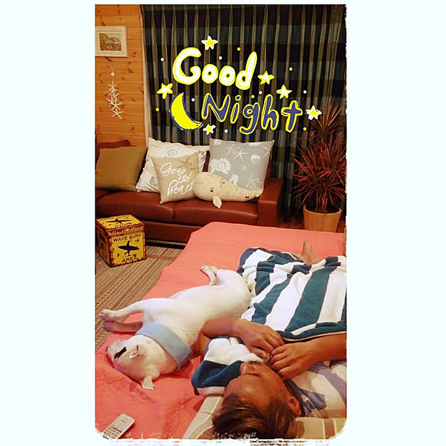 kimuneisanさんの実例写真