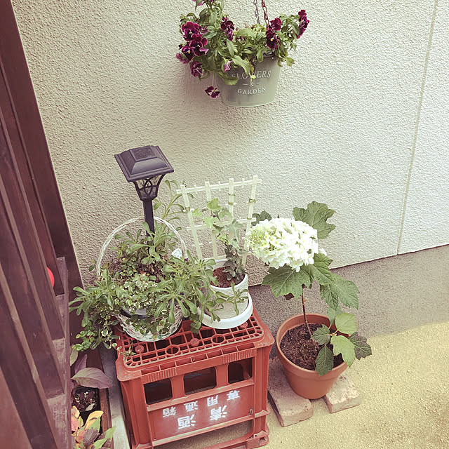 donさんの実例写真